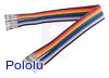 Ribbon Cable with Pre-Crimped Terminals 10-Color F-F 6" (15 cm)