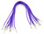 预压端子电线10包F-F 6“紫色gydF4y2Ba