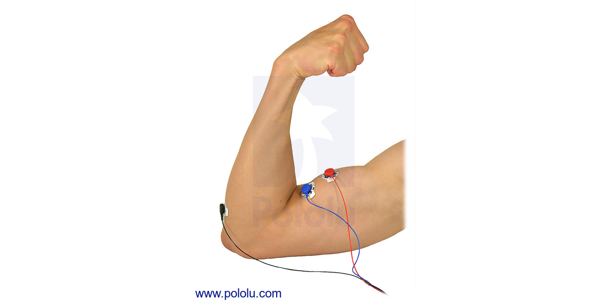 Pololu Example of electrode placement for Muscle Sensor v3 to measure