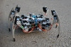 Hexapod robot running ROS