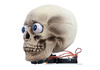 Motion tracking skull Halloween prop