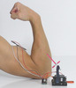 Video: MyoWare Muscle Sensor demonstration with Maestro servo controller