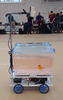 Just Keep Swimming: a goldfish-steered mobile fish tank